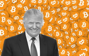 Trump Wins Bitcoin Rises