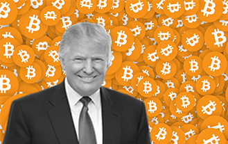 A Landslide Victory For Trump, Or Bitcoin?