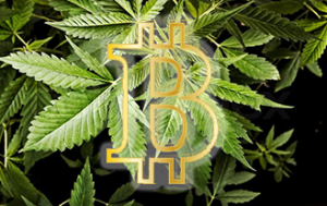 Bitcoin Blockchain Cannabis Revolution