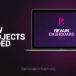 revain dashboard