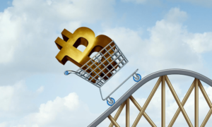Bitcoin Volatility: Riding The Highs And Lows