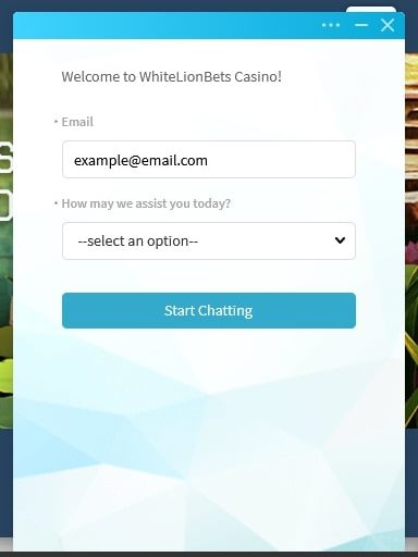 White-Lion-Support