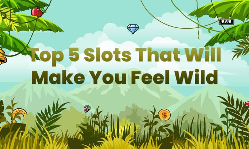 Top 5 Slots That Will Make You Feel Wild