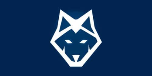 Wolf.Bet Casino Review