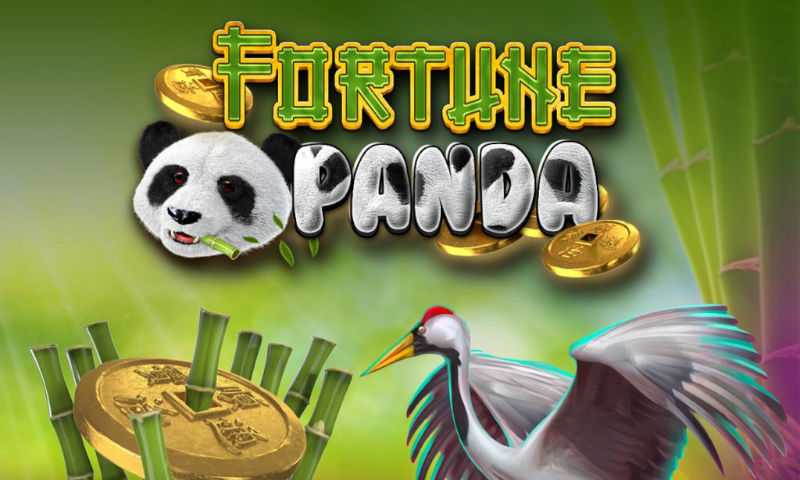 buy panda coin crypto