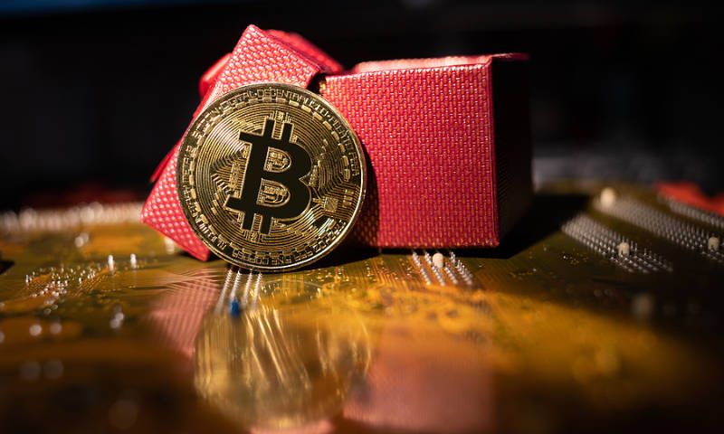 6 Best Gifts for Crypto Lovers