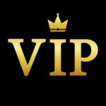 Bitcoin VIP Casino