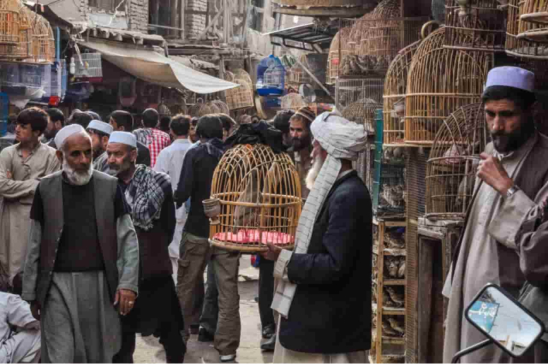 People at a market in Afghanastan