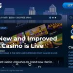 Punt Casino Upgrade