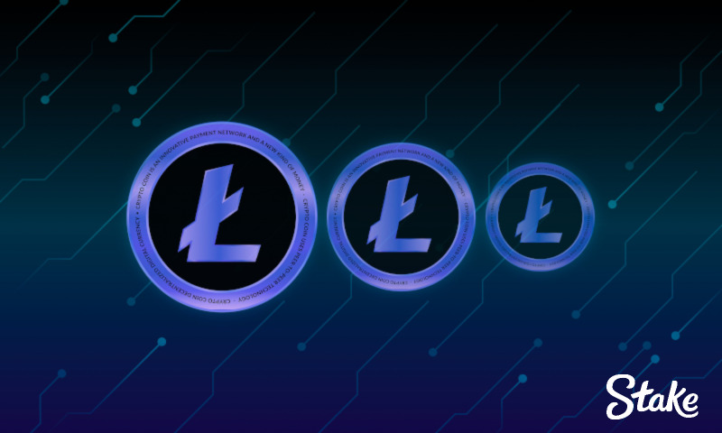 LTC is the Number 1 Cryptocurrency at Stake Casino in 2022 