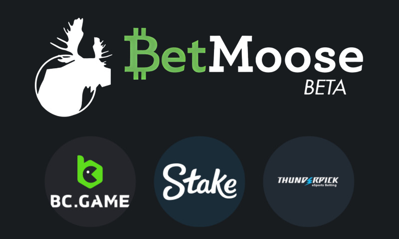 Bet Moose Alternatives: 6 Gambling Sites Like Bet Moose