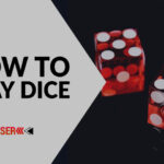 How to Play Dice