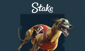 Get Ready to Chase Tails: Stake Adds Greyhound Racing!