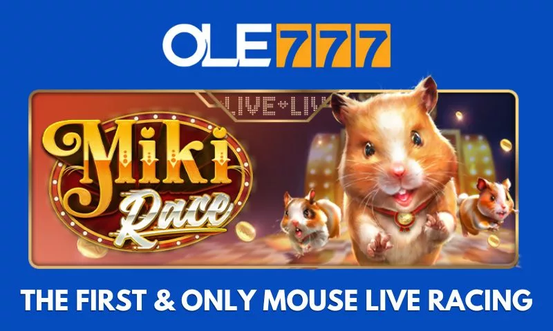 Get in the Race: Live Mouse Racing at Ole777!