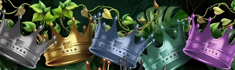 Wild Casino Welcome Bonus: 250 Free Spins