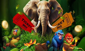 Wild Casino’s Super Sunday Raffle: Spin into  cash Weekly